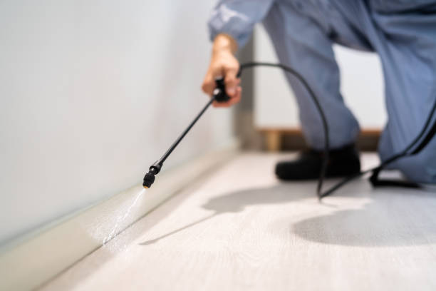 Licensed Cockroach Control service in Little Elm, TX - Nex Pest Control