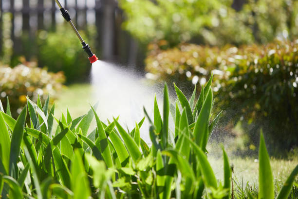 24/7 Emergency Cockroach Control experts in Little Elm, TX