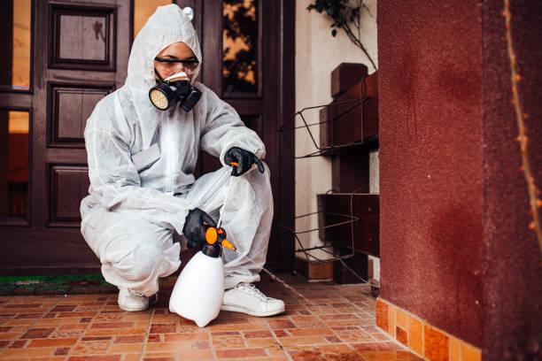 Reliable Cockroach Control contractor in Little Elm, TX by Nex Pest Control
