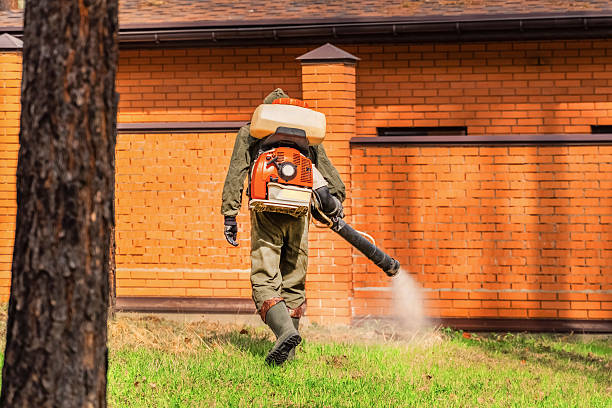 Trusted Termite Control service in Little Elm, TX - Nex Pest Control